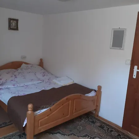 Guest house Pensiunea Mery *