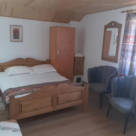 Guest house Pensiunea Mery Albac