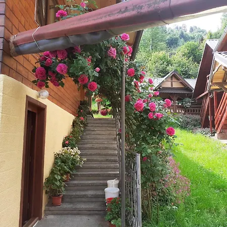 Guest house Pensiunea Mery