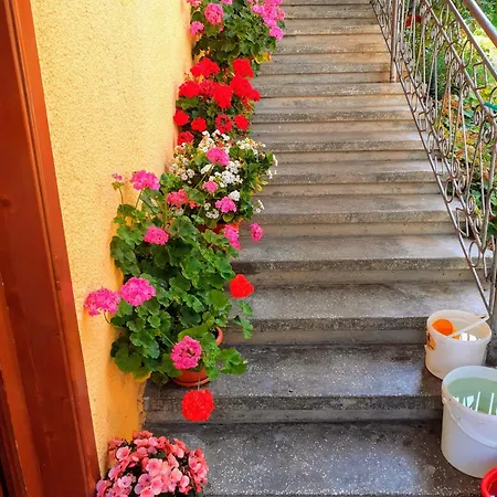 Guest house Pensiunea Mery Albac