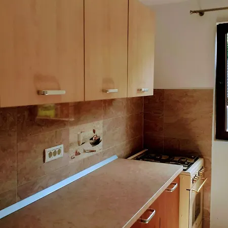Guest house Pensiunea Mery Albac